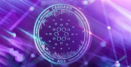 「崛起社区」在 2 天内价格飙升 8% 的情况下，ADA 鲸鱼增持_ADA:ADAM
