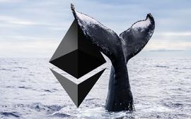 鲸鱼抛售 40 亿美元 ETH 以太坊价格下跌四分之一_以太坊:SANTOS币
