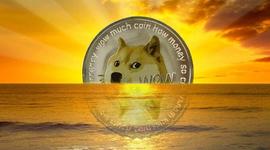 Dogecoin 市值超过 Coinbase 20 亿美元——这不再是个玩笑_OIN:COIN