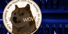 Dogecoin：在Elon Musk发射太空任务后，DOGE会达到0.50 美元吗？_DOGE:itokenwallet停止维护doge停止维护