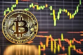 在比特币鲸鱼消失的情况下，这些 BTC 投资者似乎准备守住堡垒_SHI:Relite Finance