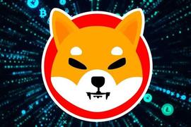 Shiba Inu：ETH 鲸鱼持有价值超过 5200 万美元的 SHIB_SHIB:STA