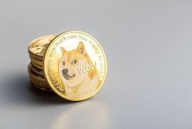 尽管2022年加密货币大屠杀，但超过一半的狗狗币DOGE持有人仍获利_马斯克:Mirrored Twitter