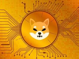 Shiba Inu：Shibarium 更新的提示使 SHIB 交易量飙升 28%_ANC:以太坊