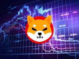 2023 年 1 月 31 日柴犬 (SHIB) 价格预测_SHIB:加密货币