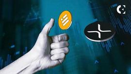 XRP 超过 BUSD 3 亿美元；成为市值第六大加密货币_VITA:ALIST价格
