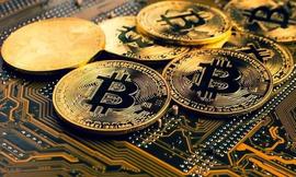 萨尔瓦多总统说“FTX 与比特币相反”_狗狗币:DOG