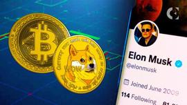 加密货币评论家称跟随马斯克投资 BTC 的人“愚蠢”_比特币:马斯克