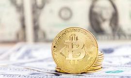币圈涨跌与放水加息有何关联？_FTX:SBF