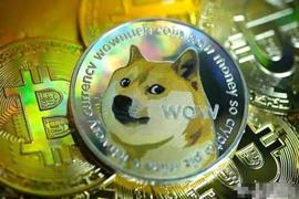 狗币（DOGE）价格在谷歌支持后飙升_狗狗币:DOG