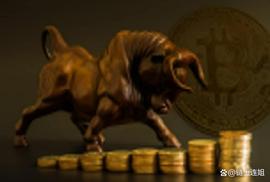 加密拉力赛：比特币，山寨币反弹，他们能走多高_加密货币:xrp币未来前景xrp币有投资价值吗
