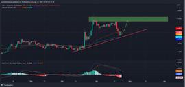 下周值得关注的顶级山寨币：价格可能很快暴涨_XRP:BNB