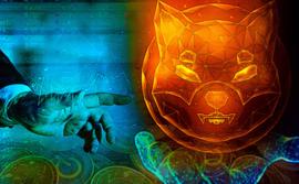 SHIB 有可能继续牛市，牛市会反弹吗？_比特币:BTC