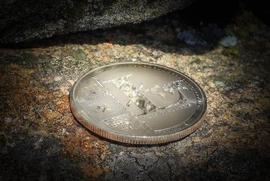 尽管流动性大幅下降，但莱特币仍取得了这一里程碑_莱特币:LTC