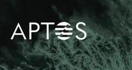 Aptos主网上线，这里有你关心的所有重要内容_TPS:https://etherscan.io