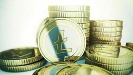 莱特币LTC 在鲸鱼交易中达到 100 万美元_莱特币:LTC