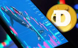 DOGE 的价格在过去 24 小时内上涨了 2.05%_DOGE:Zeitcoin