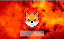 Shibburn 推出新应用程序，以帮助燃烧数十亿的 Shiba Inu_SHIB:burger币发展前景