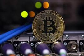 比特币出现看涨趋势！其中值得埋伏的币种有哪些？_比特币:GUSDT价格