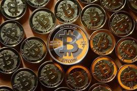 5月过半，6月叙事已提前开炒，BRC-20生态还能爆发吗！_WEB:DEFI