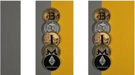 2023 年值得入手的 10 种加密货币！_BNB:Optimism Doge