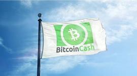 比特币现金（BCH）在 EDX 上市 24 小时内飙升 33.9%，韩国飙升_DEL:Finschia