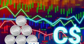 XRP在加拿大证券交易所重新上市，TOADS 和 MATIC吸引加密鲸鱼_TOAD:ADS