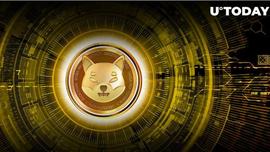 柴犬 (SHIB) 暗示新方向和计划，这是令人兴奋的部分_SHI:SAMO价格