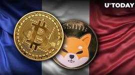 SHIB、BTC、ETH 被法国的 440 家商家接受为付款方式_加密货币:NCE
