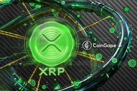 XRP 社区呼吁 YouTube“终止”流行的 XRP YouTube 频道_UTU:足球币chz