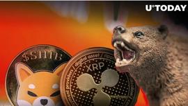XRP 和SHIB旨在惩罚熊，Santiment 揭示秘密武器_SHI:SHIB