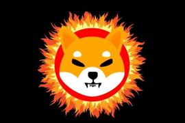 Shibburn 澄清为什么柴犬价格和销毁不会影响 SHIB 价格_CFT:SHIB