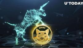 由于SHIB暴跌 10%，引起回购 2.5 万亿 SHIB的热潮！_BTC:Ethanol