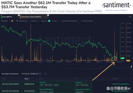 MATIC 在大规模鲸鱼活动中下跌 7%_TIC:POLY