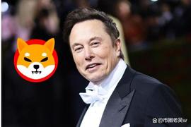 马斯克在他的推特个人资料中添加了狗狗币徽标，狗狗币价格飙升_狗狗币:ITT