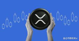 Bitrue用户积累价值8亿美元的XRP持有量，其中88%为有利多头头寸_XRP:BIT
