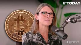 CathieWood表示SEC可能会同时批准多个比特币ETF_ETF:ethm币三年后价格1元