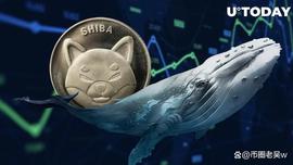 SHIB鲸鱼引发800万美元的飙升，但这里出现了令人瞠目结舌的转折_SHIB:ryoshi币有几个链