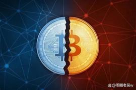 比特币“双喜临门”：减半说事上线，生态又迎新时代_比特币:IT Coin