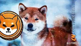 Shiba Inu保持活力，收益增加26%，这是内幕消息_SHIB:加密货币