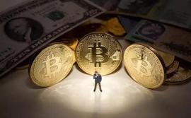 币圈上半年不容错过的3大确定性投资机会_LTC:ELTCOIN