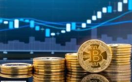 玩XVG币要有强者思维_XVG:OPTI