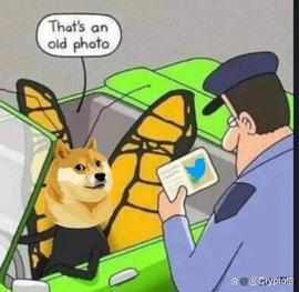 推特蓝鸟变金狗？MEME龙头潜力无限！狂暴动物园开启？_DOGE:DOGEWHALE