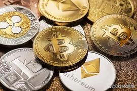 这3种加密代币将在未来行情中存在巨大机会！_BNB:bnb币涨了多少倍
