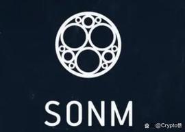 是什么妖币一夜上涨400倍？_SON:Thar token