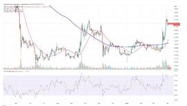 XRP价格预测因为 XRP 突破 0.50 美元的阻力位很快 1 美元的 XRP_XRP:ripple