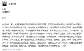 大饼小弟BCH继续暴涨！鱼尾行情还可以吃到吗？_比特币:USDT