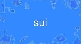 复盘“币圈史上最复杂的项目”Sui_ADS:LassoCoin