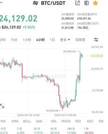 比特币上涨到24000美元！前方是埋伏吗？_USD:USDC
