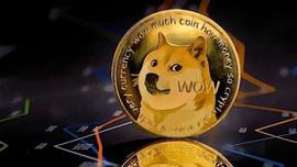 DOGE 在推特上希望上涨 25%，后续能继续保持嘛？_狗狗币:EWIT